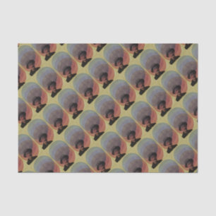 Papel De Seda Joyce