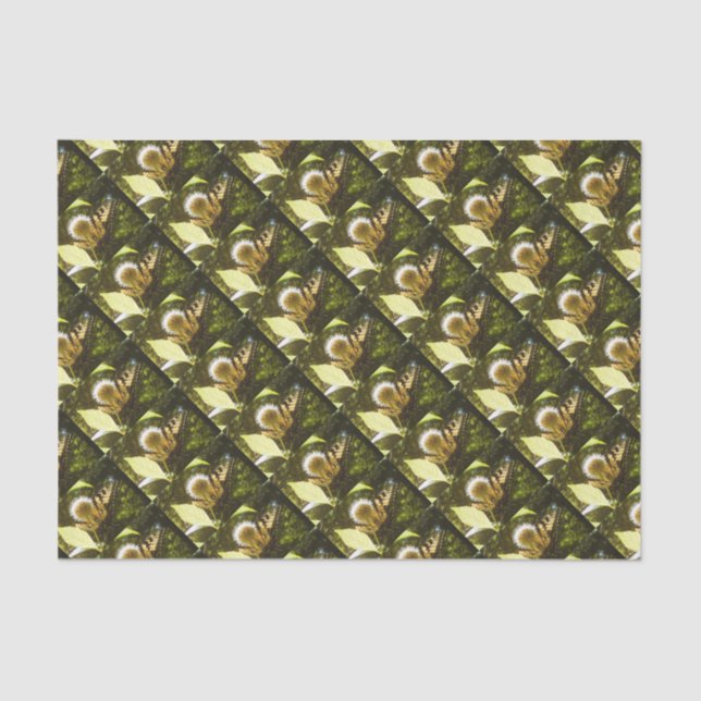 Papel De Seda June Monarch Flower (Anverso)