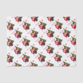 Papel De Seda Karl Marx Santa