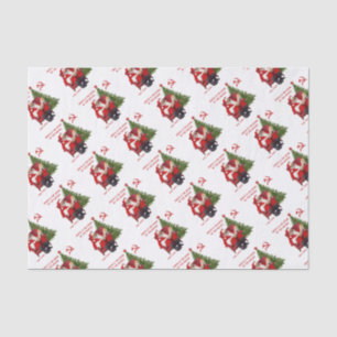 Papel De Seda Karl Marx Santa