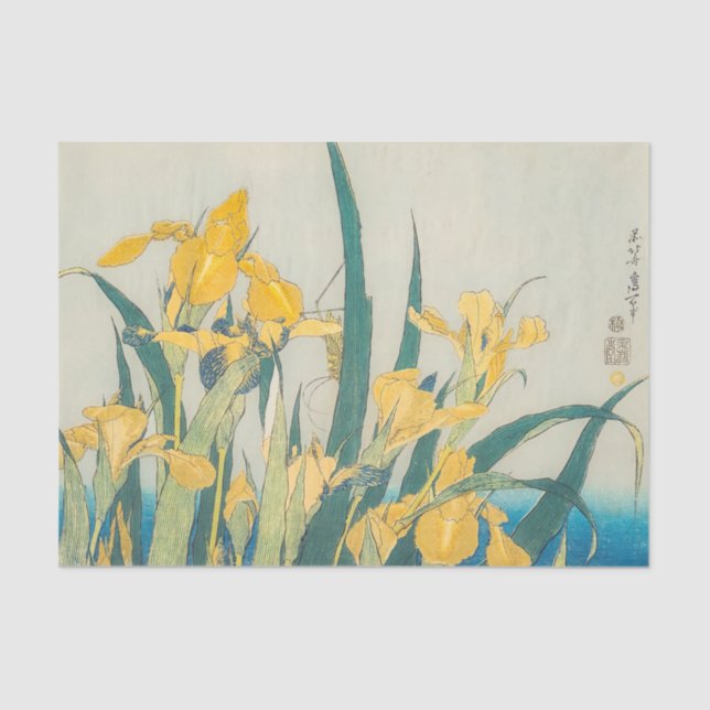 Papel De Seda Katsushika Hokusai - Grasshopper e Iris (Anverso)