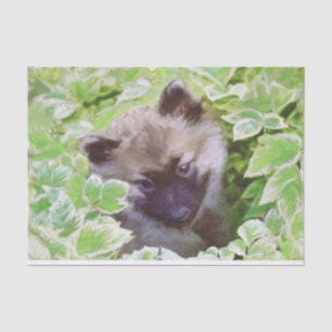 Papel De Seda Keeshond Puppy en el Jardín Pintura Arte Original