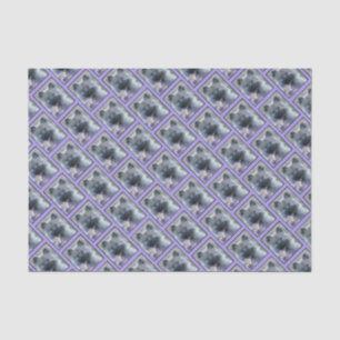 Papel De Seda Keeshond y Columbine - Fotografía de perro