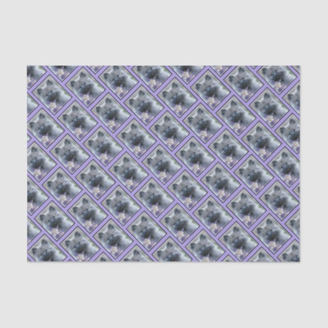 Papel De Seda Keeshond y Columbine - Fotografía de perro (Anverso)