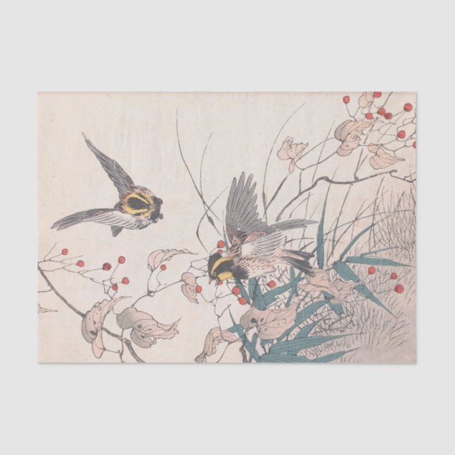 Papel De Seda Keinen Kachō Gafu, Pl.27 de Imao Keinen (Anverso)