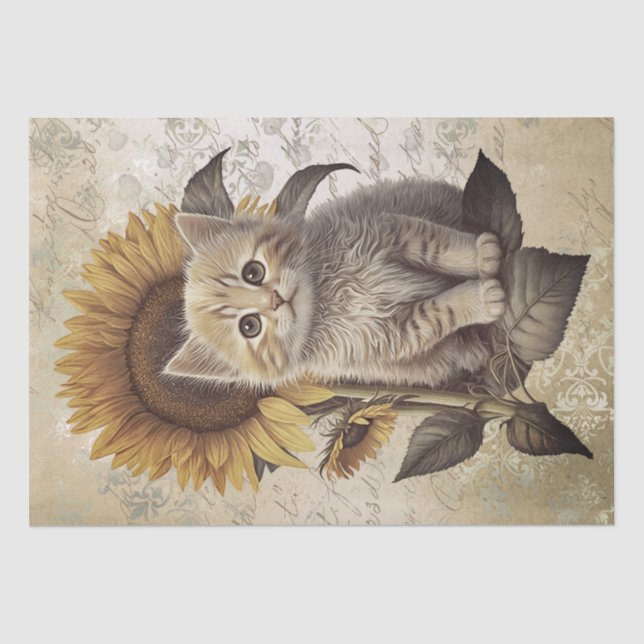 Papel De Seda Khao Manee Kitten Sunflower Cat (Anverso)