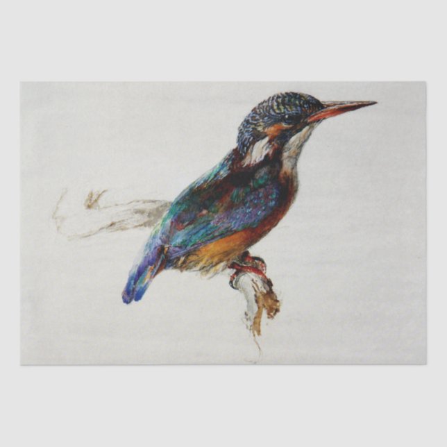 Papel De Seda Kingfisher (por John Ruskin) (Anverso)