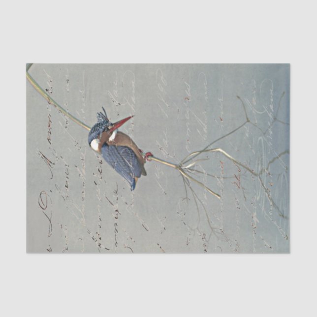 Papel De Seda Kingfisher Reflexiona Ave Vintage (Anverso)