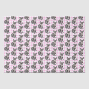 Papel De Seda Koala lleva sobre Pink Gingham