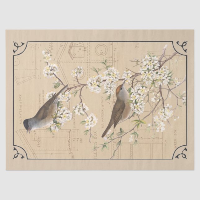 Papel De Seda Kraft Warbler Bird Birhouse Border Decoupage Tan (Anverso)