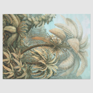 Papel De Seda Kunstformen der Natur, Filicinae - Ernst Haeckel