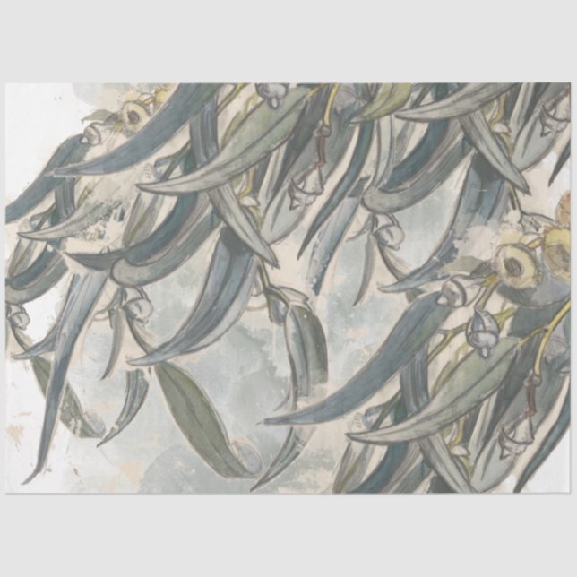 Papel De Seda La acuarela Eucalyptus deja la vegetación (Anverso)