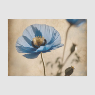 Papel De Seda La amapola azul bucal botánica