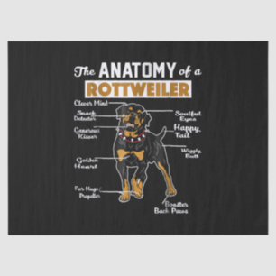Papel De Seda La Anatomía De Un Rottweiler   Guay Dog Lover