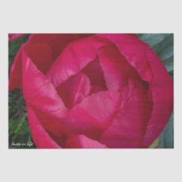 Papel De Seda La bella y floreciente Peonia Roja