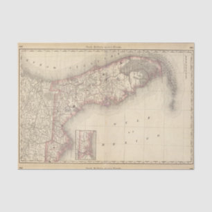 Papel De Seda La Florida 10