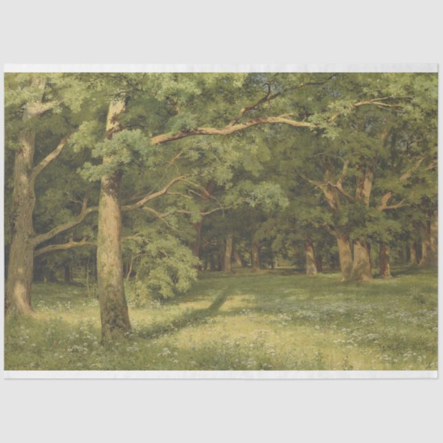 Papel De Seda La limpieza forestal (paisaje de Woodland) (Anverso)