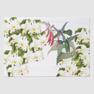 Papel De Seda La orquídea de los pájaros del colibrí florece el