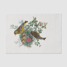 Papel De Seda La página europea de "greenfinch Decoupage"