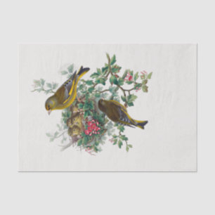 Papel De Seda La página europea de "greenfinch Decoupage"