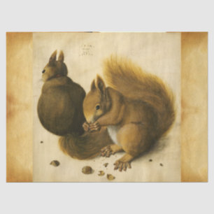 Papel De Seda LA PLAZA CON NUTS Albrecht Durer