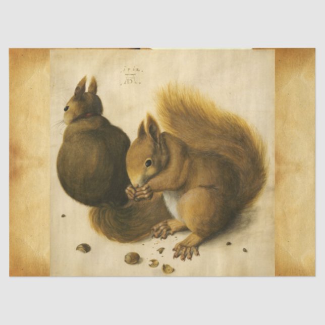 Papel De Seda LA PLAZA CON NUTS Albrecht Durer (Anverso)