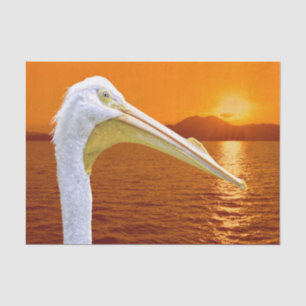 Papel De Seda La puesta de sol estadounidense en Pelican White e