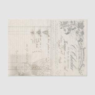 Papel De Seda La raíz de ella toda