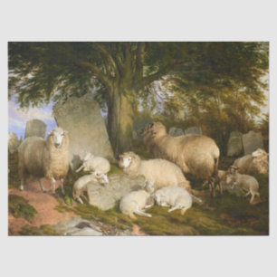 Papel De Seda La reacción de Dios de Thomas Sidney Cooper