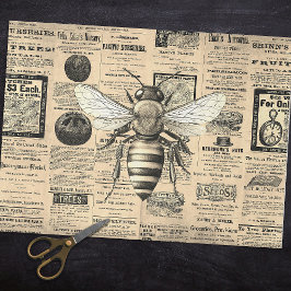 Papel De Seda La reina de la cosecha vintage Abee Horticulture A