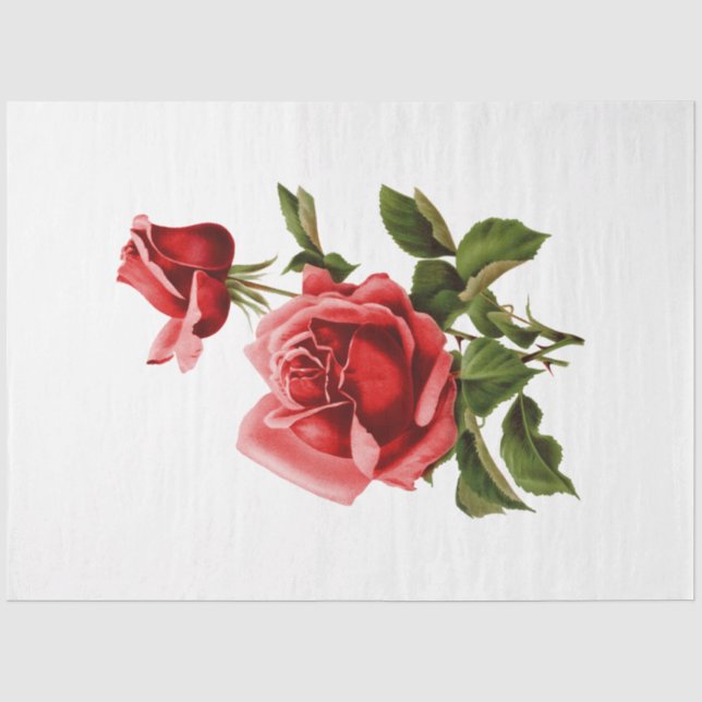 Papel De Seda La Serie Bouquet Diseño 134 (Anverso)