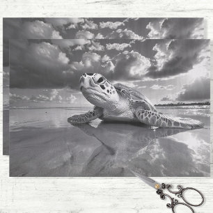 Papel De Seda La tortuga del mar: mancha blanca y negra