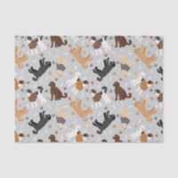 Labradoodle / Goldendoodle Bones y Pastas