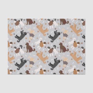 Papel De Seda Labradoodle / Goldendoodle Bones y Pastas