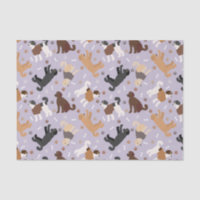Labradoodle / Goldendoodle Bones y Pastas