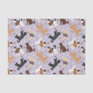 Papel De Seda Labradoodle / Goldendoodle Bones y Pastas