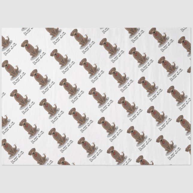 Papel De Seda Labrador de chocolate podrido con sabor a botella (Anverso)