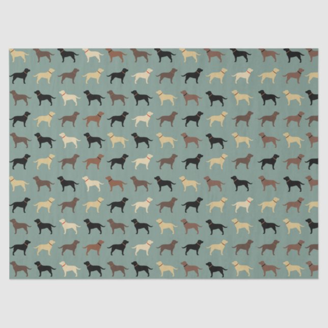 Papel De Seda Labrador recuperador de láminas de siluetas de per (Anverso)