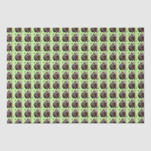 Papel De Seda Ladrillo: Un lienzo verde de Wombat,