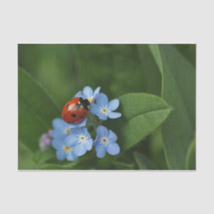 Papel De Seda Ladybug En Flores