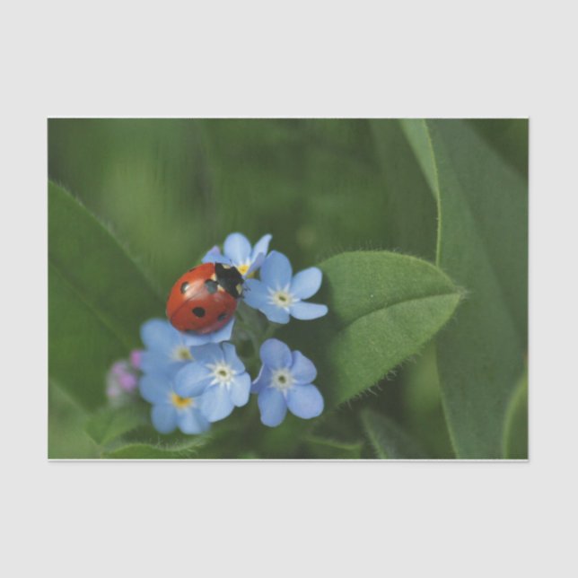 Papel De Seda Ladybug En Flores (Anverso)