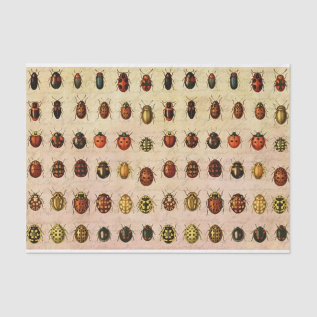 Papel De Seda Ladybug Ladybird Beetle Insect Bug (Anverso)