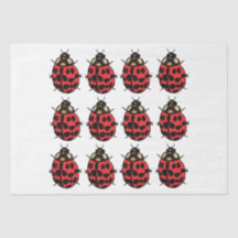 Ladybug Red Black Insect Ladybug