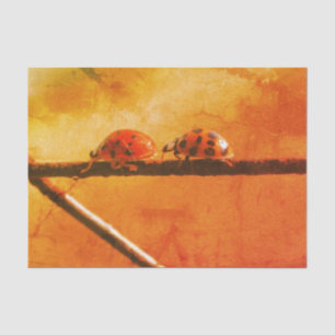 Papel De Seda Ladybugs Play Siga La Decoración De Vintage Líder