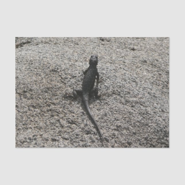 Papel De Seda Lagarto Negro (Anverso)