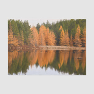 Papel De Seda Lago de árboles de otoño colorido naranja tema oto