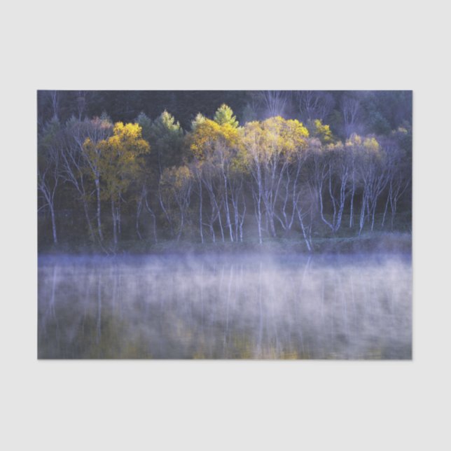 Papel De Seda Lago Misty Morning (Anverso)