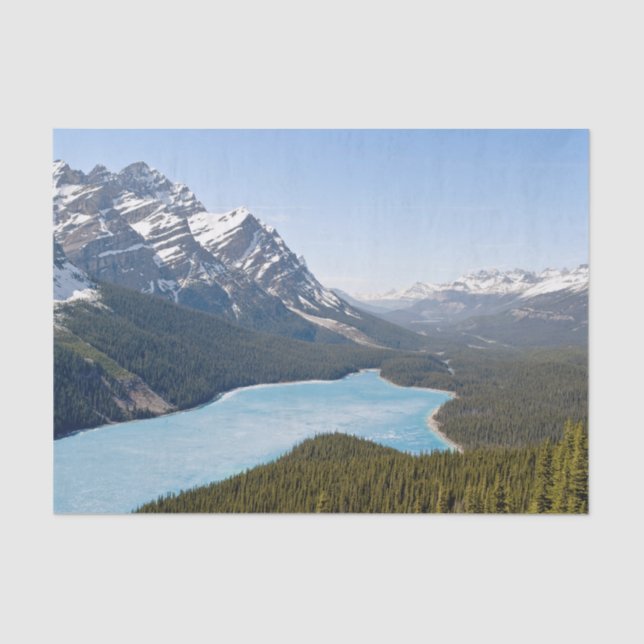 Papel De Seda Lago Peyto - Parque Nacional Banff, Alberta, Canad (Anverso)