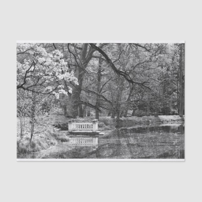 Papel De Seda Lago romántico (Anverso)