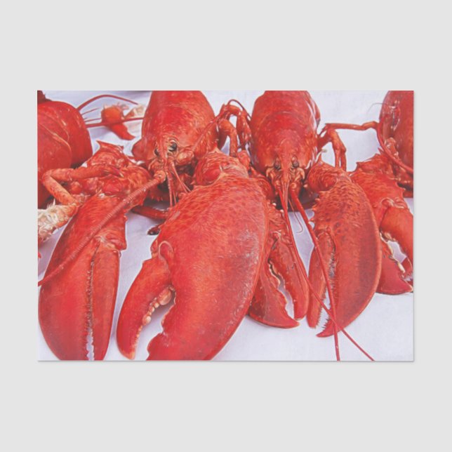 Papel De Seda Langosta roja oceánica náutica (Anverso)